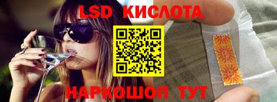 крисы Кингисепп