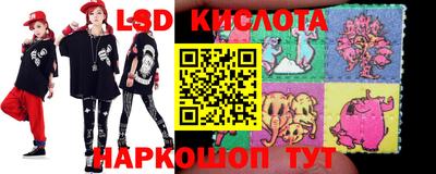 крисы Кингисепп