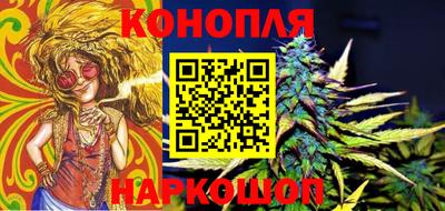 крисы Кингисепп