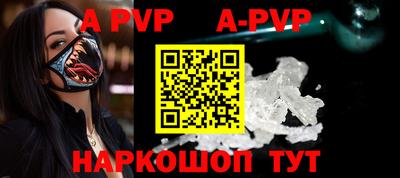 крисы Кингисепп