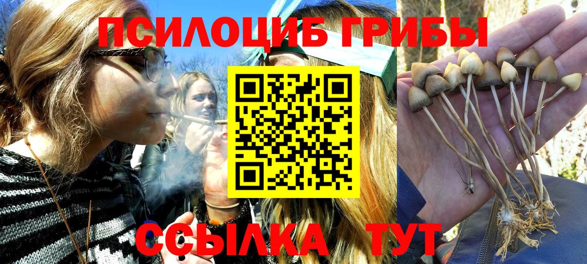 Кудымкар  Псилоцибиновые грибы мухоморы  что такое   Вход с VPN 